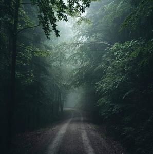 Meet your Posher, Tommy